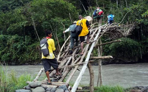 The journey into the jungle