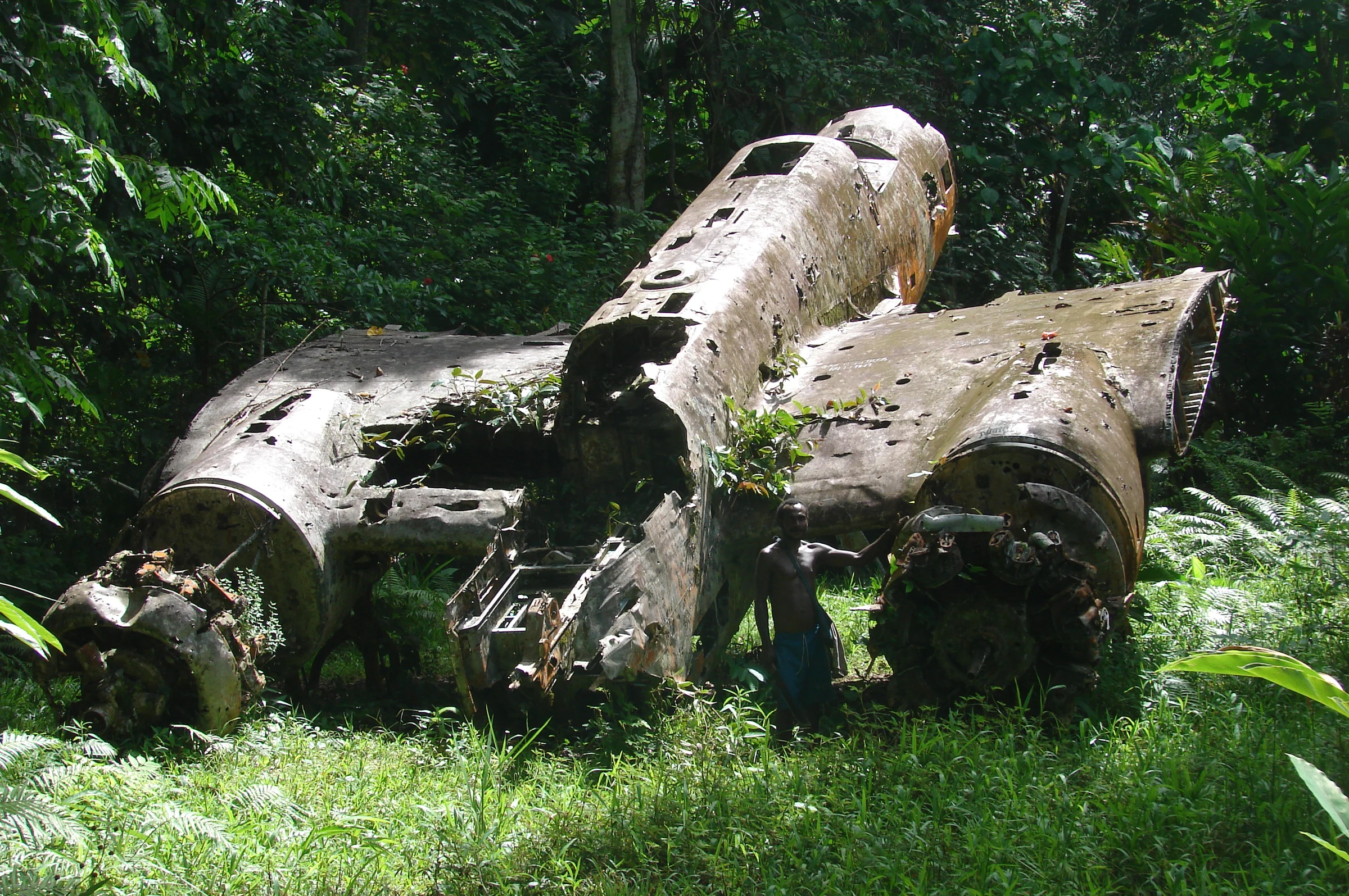 A wartime aircraft resting in the jungle, from the original MIA Hunters archive